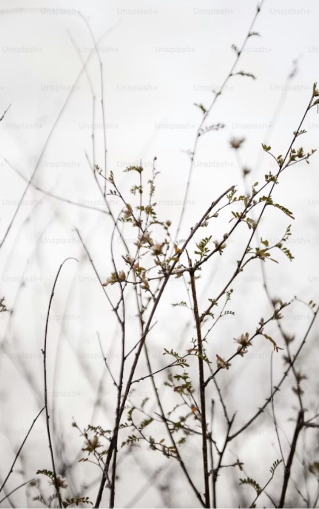 Préambule à la connaissance
